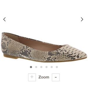 BCBG Millie snake print pointed toe flat